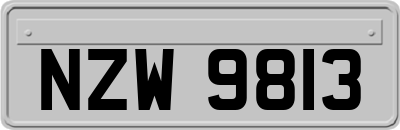NZW9813