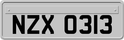 NZX0313