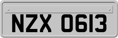 NZX0613