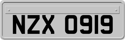 NZX0919