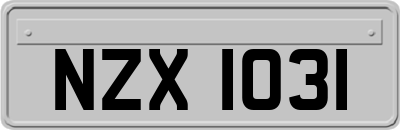 NZX1031