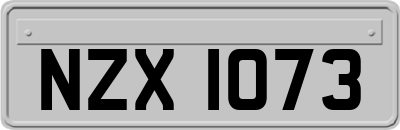 NZX1073