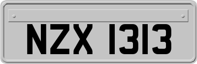 NZX1313