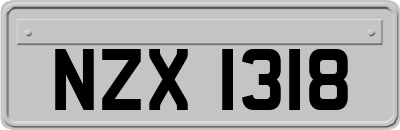 NZX1318