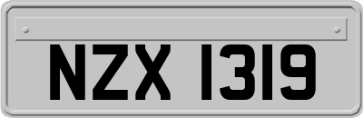 NZX1319