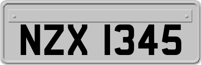 NZX1345