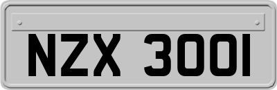 NZX3001