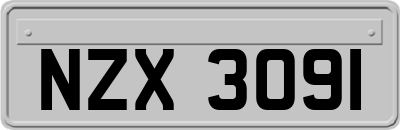NZX3091