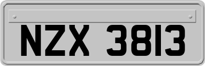 NZX3813