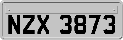 NZX3873
