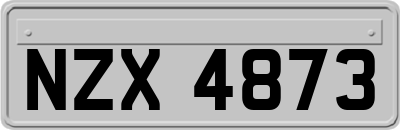 NZX4873