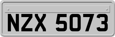 NZX5073