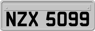 NZX5099