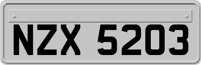 NZX5203
