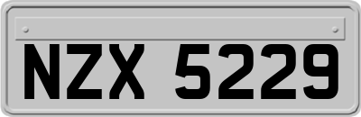 NZX5229
