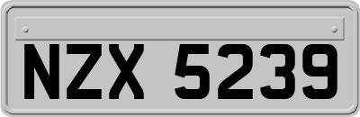 NZX5239