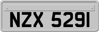 NZX5291