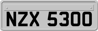 NZX5300