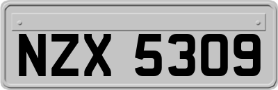 NZX5309