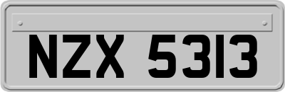 NZX5313