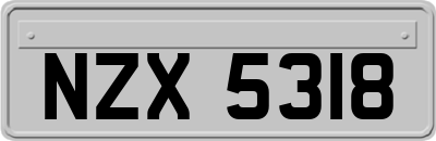 NZX5318