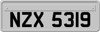 NZX5319