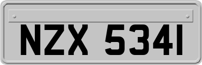 NZX5341