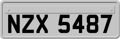 NZX5487