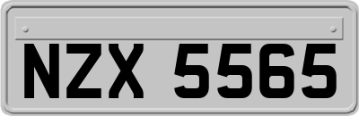 NZX5565