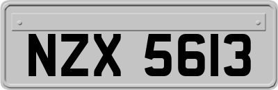 NZX5613
