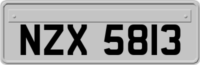 NZX5813