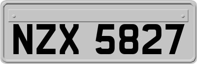 NZX5827