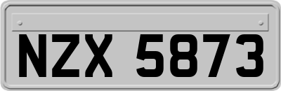 NZX5873