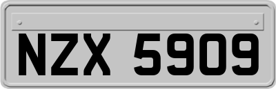 NZX5909