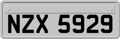 NZX5929