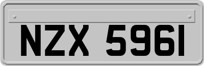 NZX5961