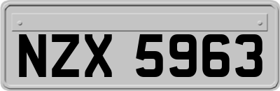 NZX5963