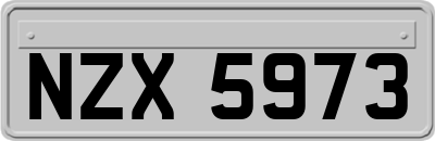 NZX5973