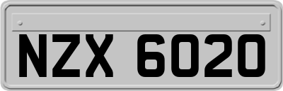 NZX6020