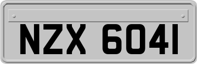 NZX6041