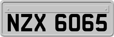 NZX6065