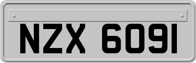 NZX6091