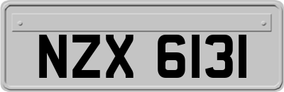 NZX6131
