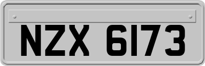 NZX6173