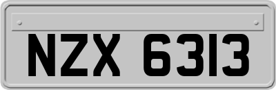 NZX6313