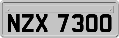 NZX7300