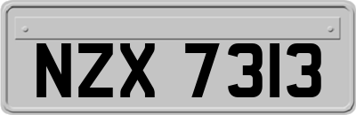 NZX7313