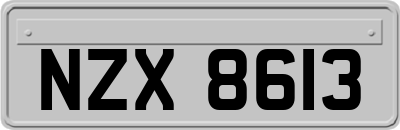 NZX8613