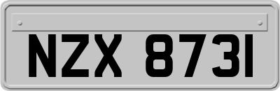 NZX8731