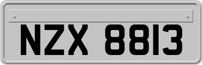 NZX8813